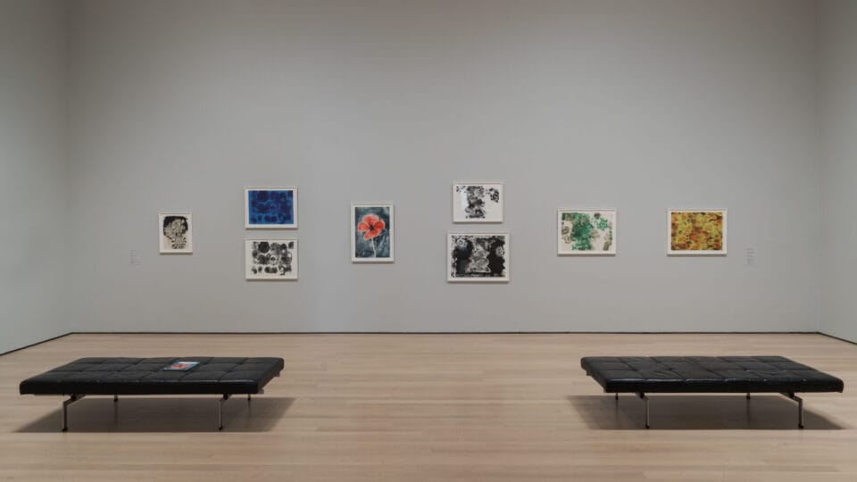 installation view of 'Ruth Asawa: A Retrospective' at the Museum of Modern Art