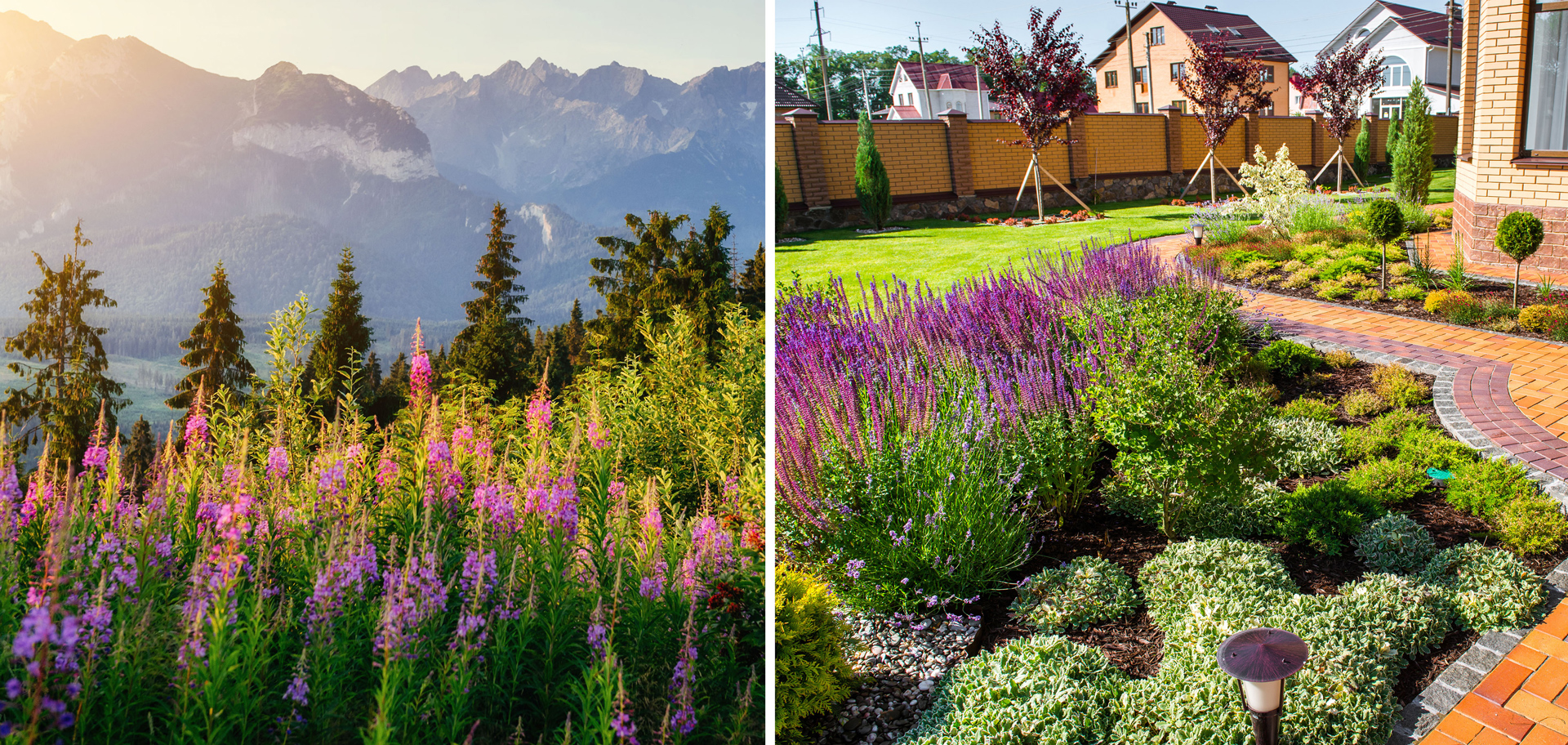 AdobeStock (Created by Candice Gaukel Andrews)